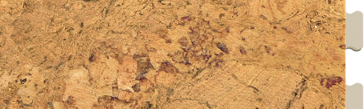 Cork Luxury Tile Sample